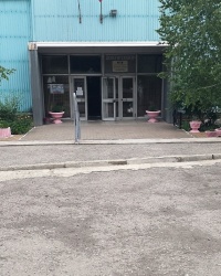 Скульптуры львов у физкультурно-оздоровительного комплекса в г. Донецке