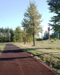 Парк «Северный» в г.Задонске