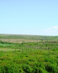 Лесной заказник Бердянский вблизи с.Степано-Крынки