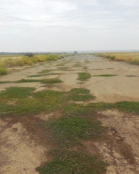 Заброшенный аэродром в окрестностях пос. Старобешево