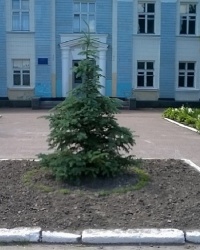 Памятник В. И. Ленину в п.г.т.Куликовка (уничтожен)
