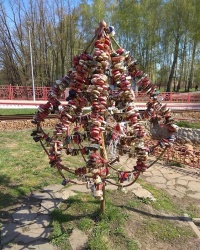 Аллея невест в г.Новомосковск