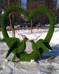 Топиарное большое сердце с голубями в г.Орехово-Зуево