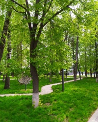 Сквер имени А. П. Завенягина в г. Узловая