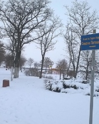 Аллея им.Героя Украины С.И.Поташника в г.Вышгород