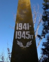 Памятник воинам, погибшим в годы Великой Отечественной войны в c.Владимировка