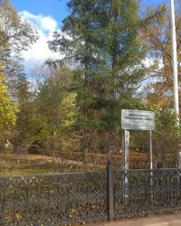 Памятник природы "Кольцовский сквер" в г.Воронеж (Центральный район)