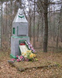 с. Вир. Братская могила.