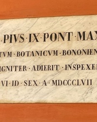 м. Болонья. Меморіальна дошка папі Пію ІХ.