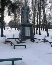 Братська могила і пам'ятний знак загиблим односельцям в с. Нові Боровичі.