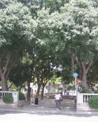 м. Барселона. Площа Тетуан.