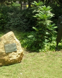 м. Барселона. Пам’ятник Міліу Торескі. м. Барселона. Пам’ятник Міліу Торескі.