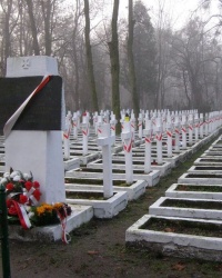 Старое польское кладбище в Ковеле.