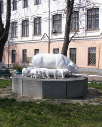 Милые полтавские поросята