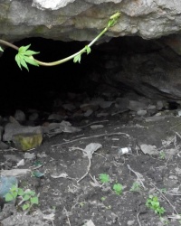 Старая штольня в Запорожье