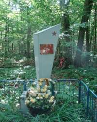 Могила неизвестного солдата в лесопарке