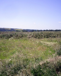 Скифское городище "Новоселовка"