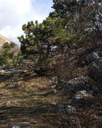 Большая ялтинская канатная дорога. Ларец 