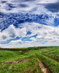 Целинная балка Вербовая