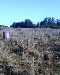 Старое кладбище. Село Бохоники. г. Винница