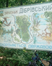 Заказник Дибровский лес