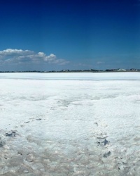 Соленое озеро Зябловское (Косарское). Арбатская стрелка 