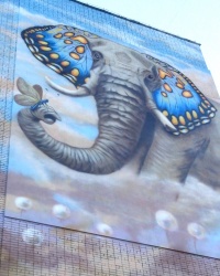 Мурал «слон у хмарах» в Запоріжжі