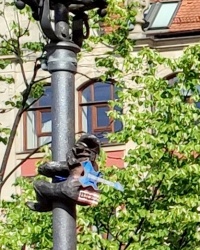 Вроцлавські гноми. Słupniki Solne