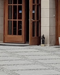 Вроцлавські гноми. Хімік