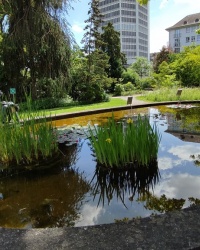 Ботанічний сад у Цюриху
