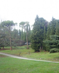 Алупкинский парк