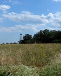 Скіфський Стан. Тайник