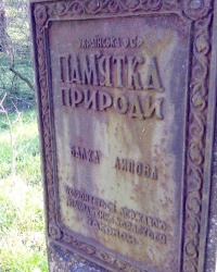 Балка Липовая на Хортице