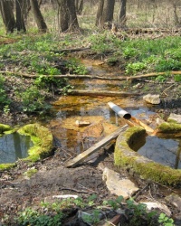 Родники с "живой" и "мертвой" водой