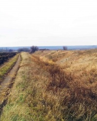 Вал возле с. Тарановка (Изюмская засечная черта)