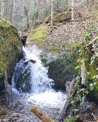 Дарваївські водоспади