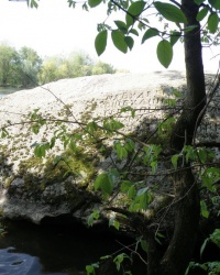 Камень Коцюбинского в Сабаровке