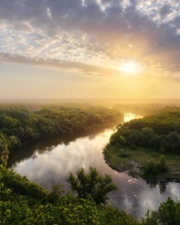 Лесной лабиринт на Донце