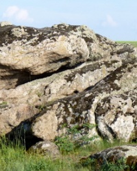 Каменные химеры в Воссиятском