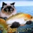 Зображення користувача natalivan0577.