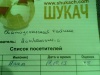 Уменьшенная копия изображения